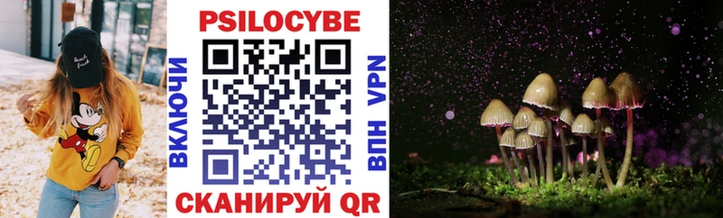 купить  сайты  Лыткарино  Псилоцибиновые грибы Psilocybine cubensis 