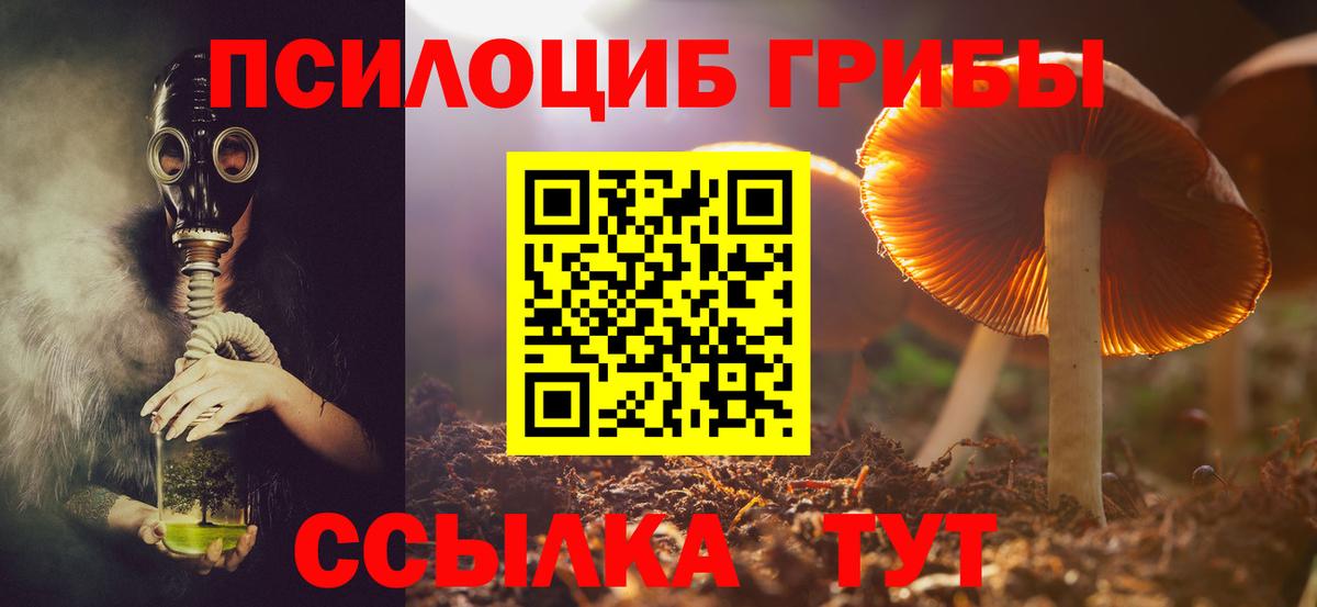 Лыткарино  Псилоцибиновые грибы прущие грибы  хочу наркоту  Вход с VPN 